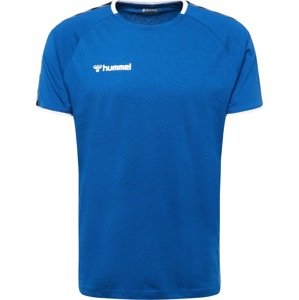 Hummel Funkční tričko modrá / šedá / černá / bílá