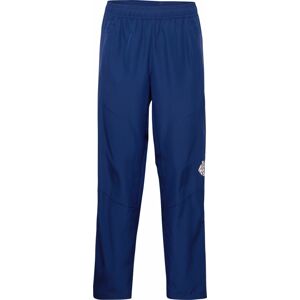 Sportovní kalhoty ADIDAS SPORTSWEAR marine modrá / bílá