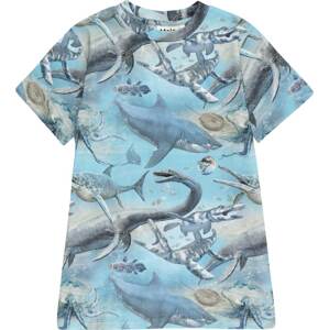 Tričko 'Ralphie' Molo marine modrá / světlemodrá / šedá