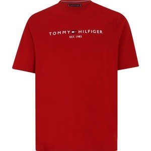 Tričko Tommy Hilfiger Big & Tall tmavě modrá / ohnivá červená / bílá