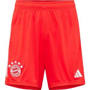 Sportovní kalhoty 'FC Bayern München 23/24' adidas performance ohnivá červená / bílá