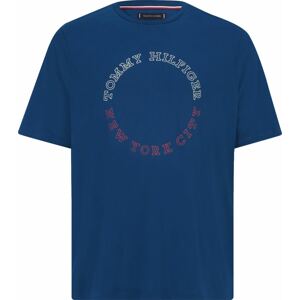 Tričko Tommy Hilfiger Big & Tall modrá / červená / bílá