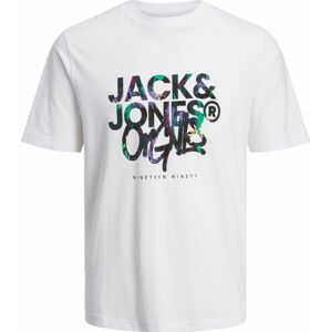 Tričko 'SILVER LAKE' jack & jones zelená / bobule / černá / bílá