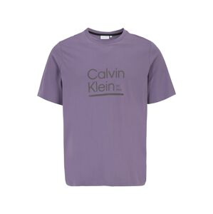 Calvin Klein Big & Tall Tričko fialová / černá