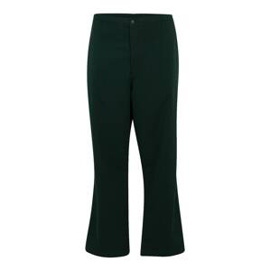 Polo Ralph Lauren Big & Tall Kalhoty tmavě zelená