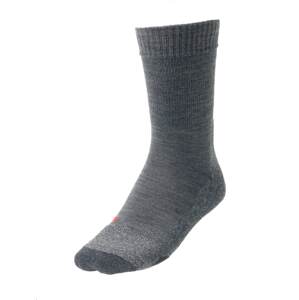 FALKE Sportovní ponožky  čedičová šedá