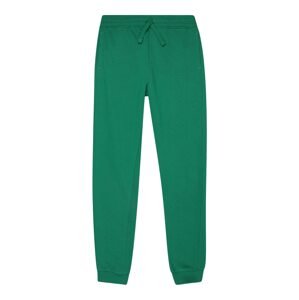 OVS Kalhoty  zelená