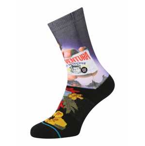 Stance Sportovní ponožky 'PET DETECTIVE'  kari / světle fialová / červená / černá