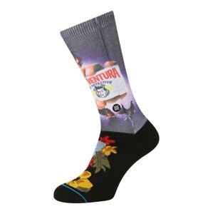 Stance Sportovní ponožky 'PET DETECTIVE'  mix barev / černá