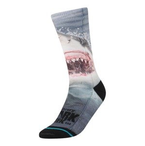 Stance Sportovní ponožky 'PEARLY WHITES'  námořnická modř / mix barev