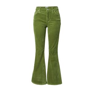 BDG Urban Outfitters Kalhoty světle zelená