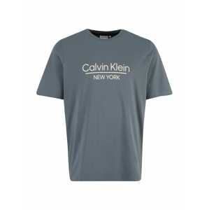 Calvin Klein Big & Tall Tričko tmavě šedá / bílá