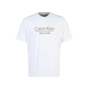 Calvin Klein Big & Tall Tričko hnědá / bílá