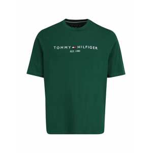 Tommy Hilfiger Big & Tall Tričko  tmavě modrá / tmavě zelená / červená / bílá