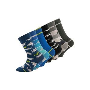 EWERS Ponožky  kobaltová modř / tmavě šedá