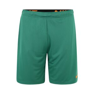 NIKE Sportovní kalhoty  zelená / oranžová
