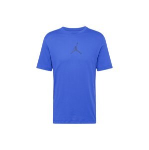 Jordan Funkční tričko  svítivě fialová / tmavě fialová