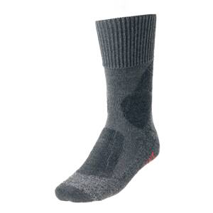 FALKE Sportovní ponožky 'TK1'  šedá / antracitová