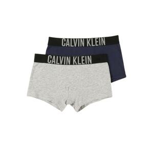 Calvin Klein Underwear Spodní prádlo modrá / šedá