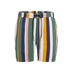 Redefined Rebel Kalhoty 'RRRick Shorts'  zelená / žlutá / bílá