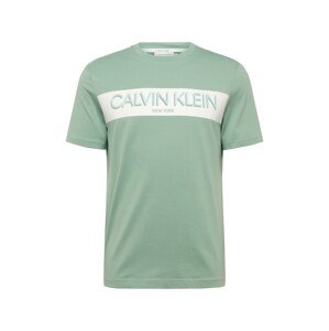 Calvin Klein Tričko 'STRIPE LOGO T-SHIRT'  mátová