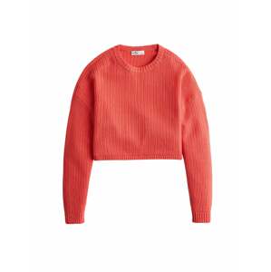 HOLLISTER Pullover  červená