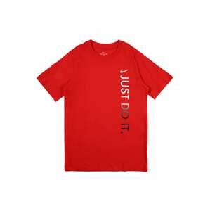 NIKE Funkční tričko  černá / červená / bílá