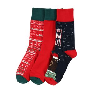 Urban Classics Ponožky  bílá / tmavě zelená / kaštanově hnědá / červená / námořnická modř