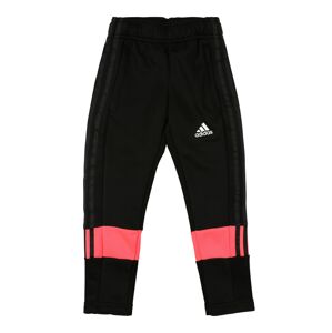 ADIDAS PERFORMANCE Sportovní kalhoty 'B A.R. 3S Pant'  korálová / černá