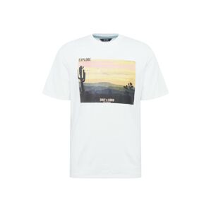 Only & Sons T-Shirt 'Mani'  mix barev / bílá