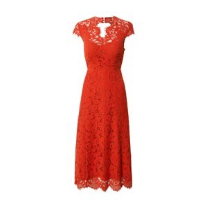 IVY & OAK Společenské šaty 'Lace'  jasně červená
