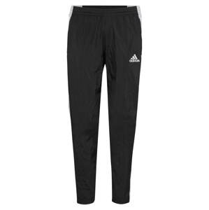 ADIDAS PERFORMANCE Sportovní kalhoty  černá / bílá / šedá