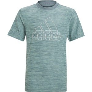ADIDAS PERFORMANCE Funkční tričko  bílá / šedá / světle zelená