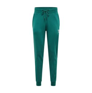 Superdry Sportovní kalhoty  zelená