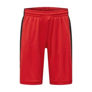 Jordan Sportovní kalhoty  červená