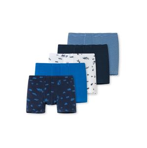 SCHIESSER Spodní prádlo  tmavě modrá / modrá / bílá / černá