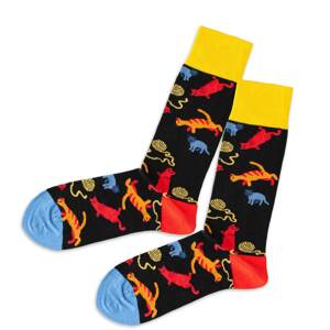 DillySocks Ponožky  červená / modrá / žlutá