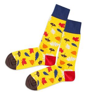 DillySocks Ponožky  žlutá / modrá / červená