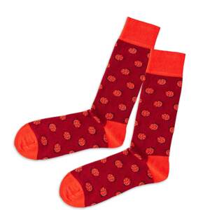 DillySocks Ponožky  černá / světle červená