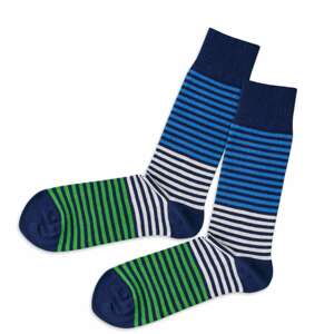 DillySocks Ponožky  bílá / modrá / trávově zelená