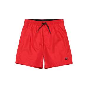 Tommy Hilfiger Underwear Plavecké šortky  červená / bílá / námořnická modř
