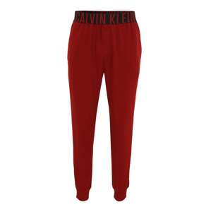 Calvin Klein Underwear Sportovní kalhoty  červená / tmavě modrá