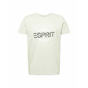 ESPRIT Tričko  pastelově zelená / černá / bílá
