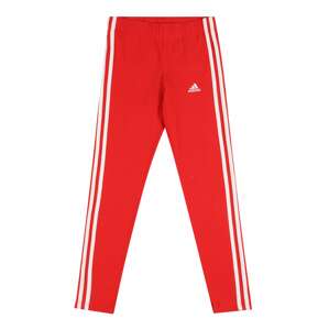 ADIDAS PERFORMANCE Sportovní kalhoty  bílá / ohnivá červená