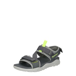 TIMBERLAND Trekingové sandály  šedá / svítivě zelená