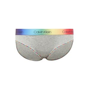 Calvin Klein Underwear Kalhotky  mix barev / šedý melír