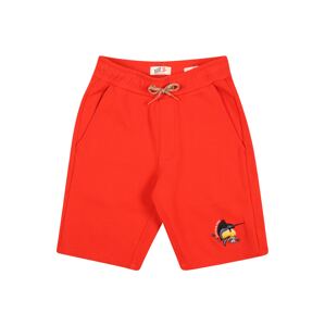 SCOTCH & SODA Shorts  červená / černá / bílá / čedičová šedá / oranžová