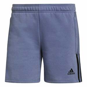 ADIDAS SPORTSWEAR Sportovní kalhoty tmavě fialová / černá