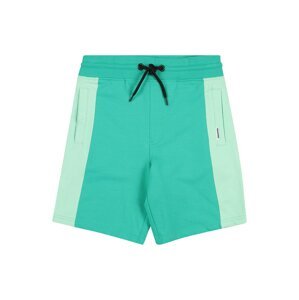 Raizzed Kalhoty 'RECIFE'  světle zelená / pastelově zelená