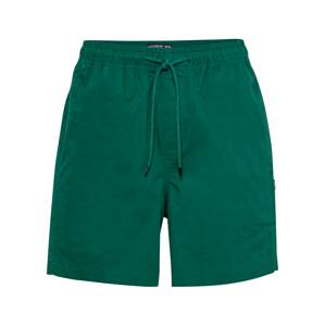 ELEMENT Sportovní kalhoty 'VACATION'  zelená